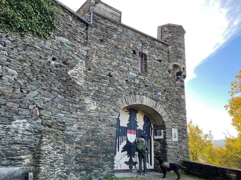 Burg Maus, Sankt Goarshausen, Germany, Germany